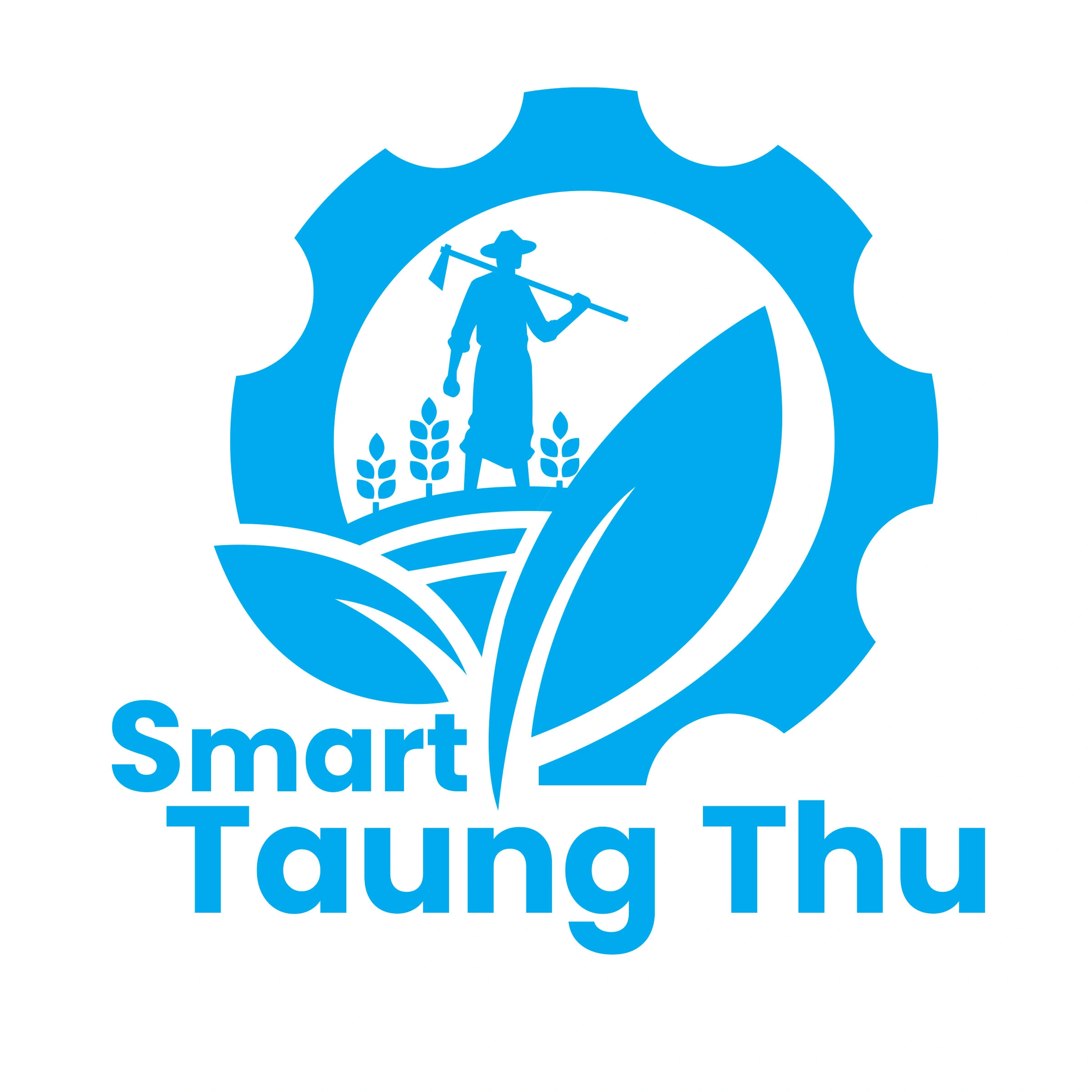 Smart Taung Thu Icon